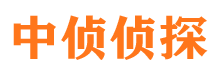 正阳市侦探调查公司